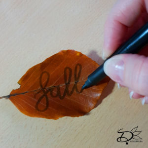 Handlettering on fallen leaf